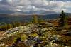 Cestou do Otty přes Raphamn - Rondane