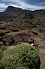 Roques de García na dosah, v pozadí Alto de Guajara