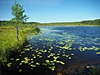 Jezero Matildanjärvi