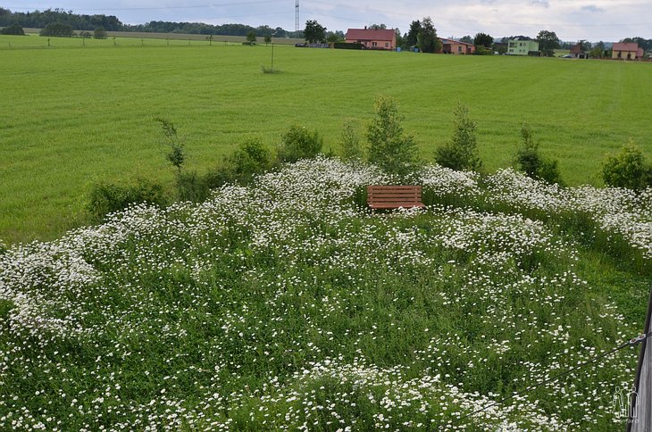 Lavička