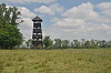 Zubří rezervace v Kis-Balaton