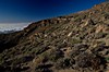 Moře mraků na pobřeží Tenerife