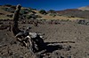 Pestrost krajiny na Tenerife