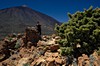 Pohled z vrcholu La Fortaleza, jak jinak než na Pico Teide
