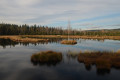 Šumava 2014